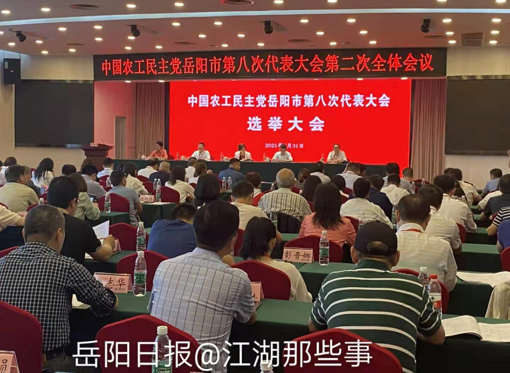岳阳政府最新人事任免动态发布📢