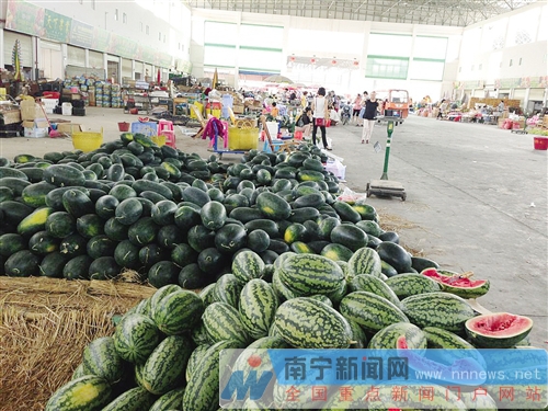 广西西瓜最新价格，时代背景下的瓜价变迁