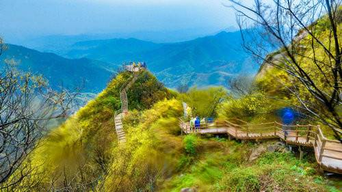 杨雨烟最新博客，自然之旅的心灵探索，寻找平和与喜悦的旅程