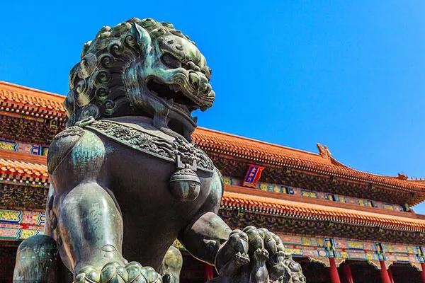 魔域森林最新章节目录，自然美景探索之旅启动