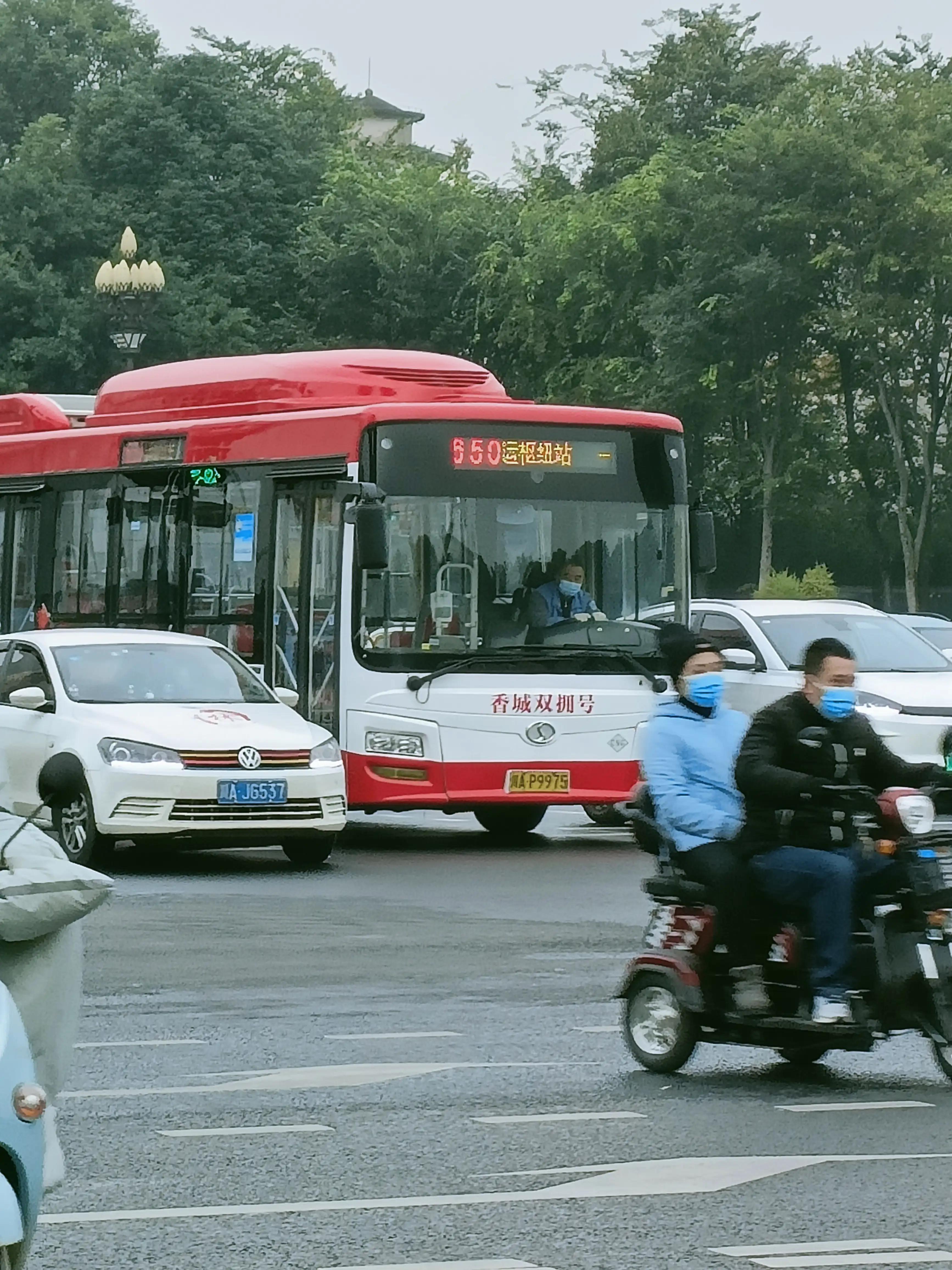 新都650路线出行攻略，最新路线与攻略汇总