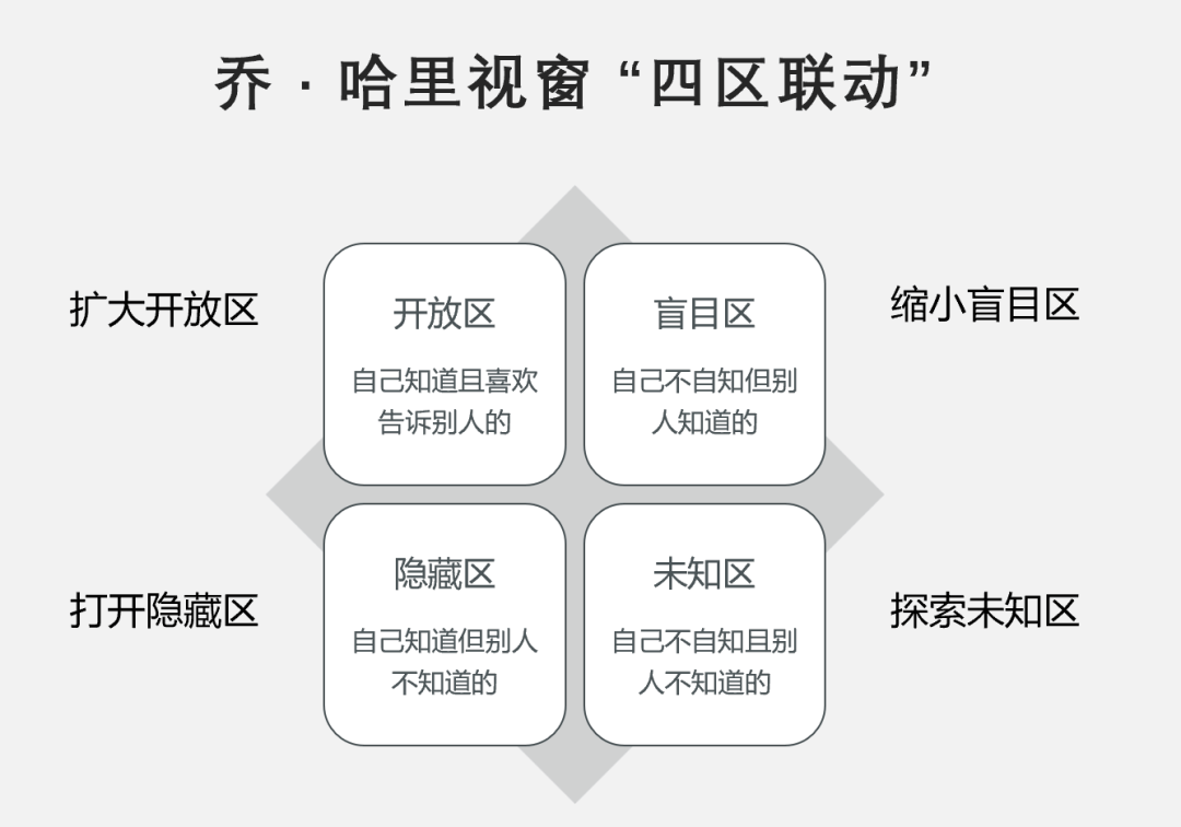 最新区域划分真相探索，重塑自我之旅