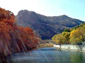 奉母杀人案件深度解析，背景、事件、影响与时代地位回顾