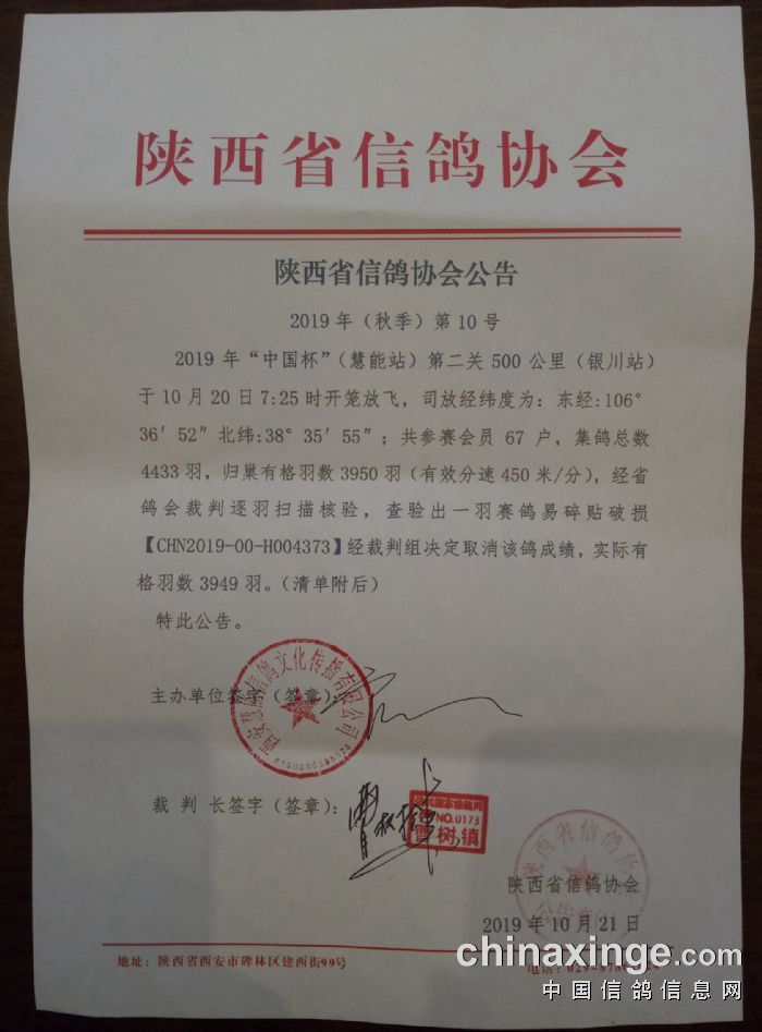 清徐信鸽协会最新信息及步骤指南概览