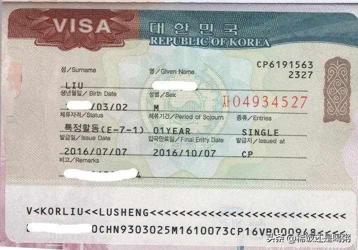 办理韩国签证最新规定,办理韩国签证最新规定，步骤指南