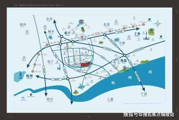 今日金乡蒜片最新价格,今日金乡蒜片最新价格，市场分析及观点阐述