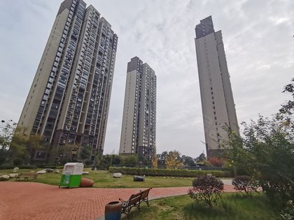枝江领秀之江最新房价,枝江领秀之江最新房价，市场走势与多元观点分析