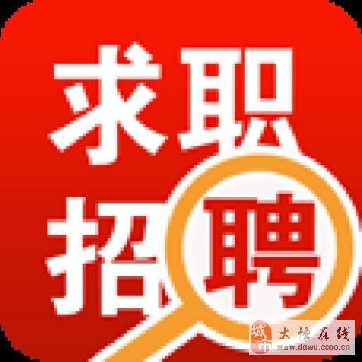 保定最新招聘信息，时代脉搏与人才交响汇聚之地