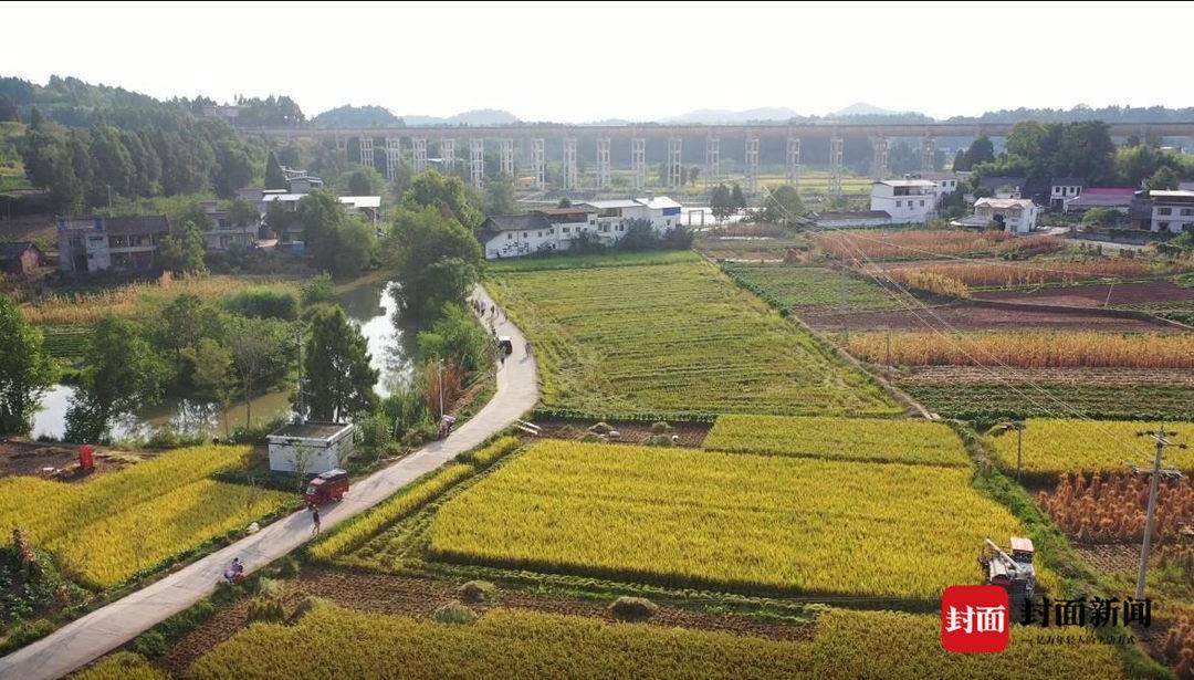 乐至毗河工程最新动态更新，最新消息汇总
