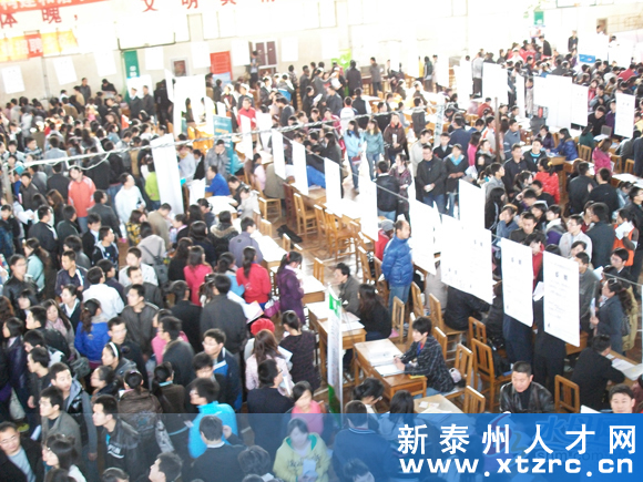 泰州人才市场最新招聘信息及使用指南