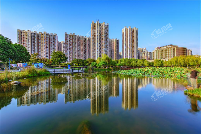珠海房地产最新动态，与自然美景交融，内心平和之旅开启