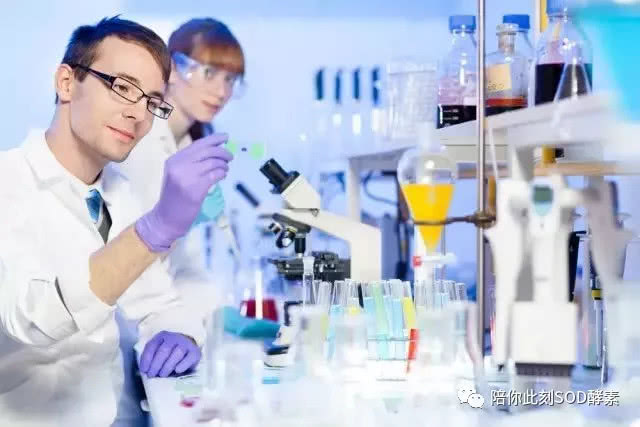 皓康小时代最新动态，科技重塑生活，智能新世界之旅启动