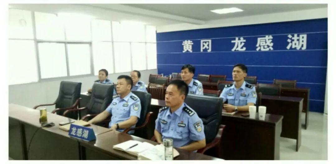 湖北龙感湖最新动态更新，最新消息揭秘