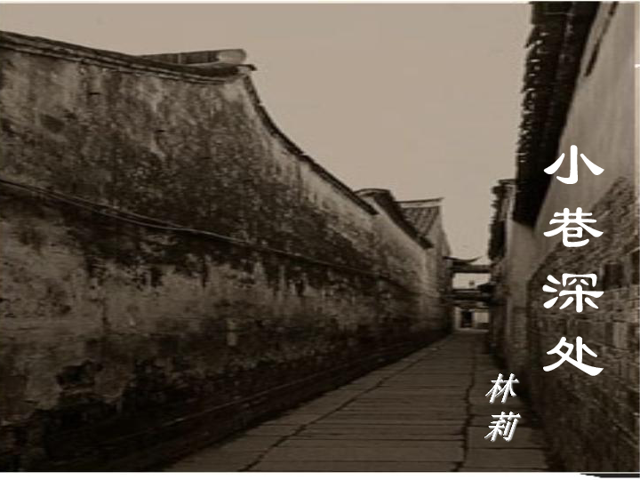 汤嬿最新动态，小巷深处的独特风味揭秘