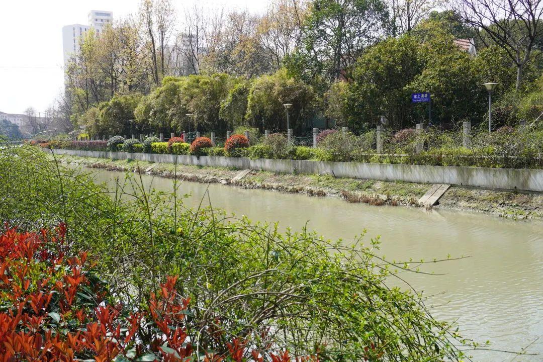 最新宝多城，自然美景的探索之旅