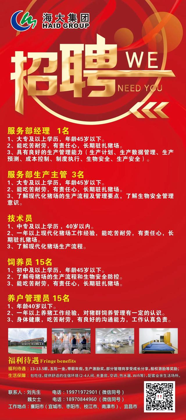 淇县最新招聘信息及观点论述