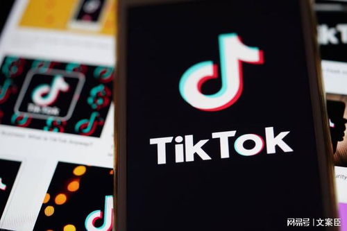 TikTok国际版下载最新，探索自然美景之旅，重拾内心平静
