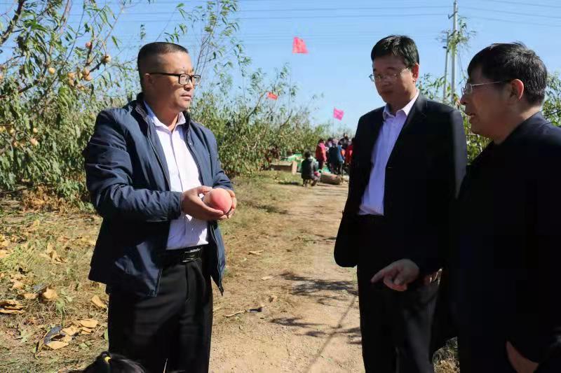 诸城疫情最新动态与小巷深处的独特风味