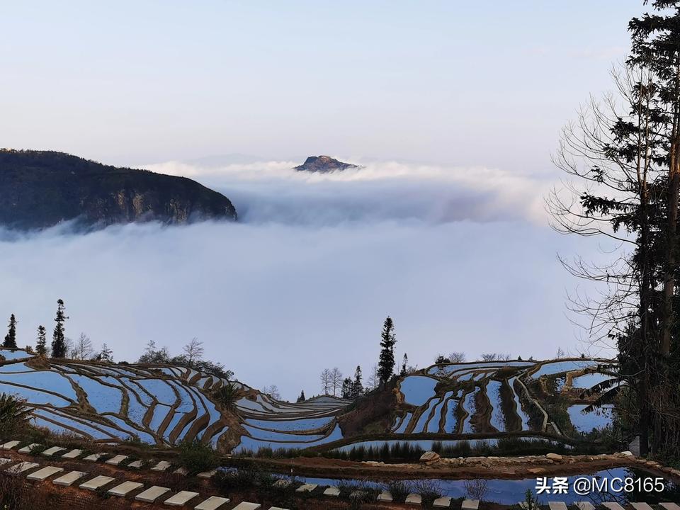 云南最新肺炎动态与探索自然美景之旅