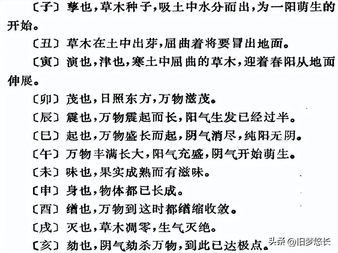 甲子亥最新，小巷深处的独特风味揭秘