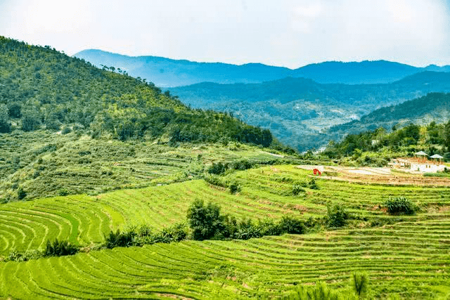 军残补助最新标准，探索自然美景之旅，寻求内心平和的旅程