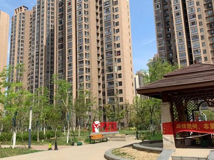 合肥滨湖润园最新资讯，探索自然美景之旅，内心平静的寻找
