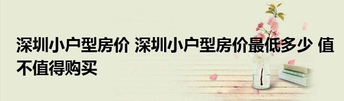 深圳小户型房产政策深度解读
