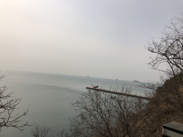 行情淡，自然美景的心灵之旅之歌