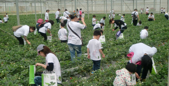 痞子村长，与自然美景的亲密旅行，探寻内心平和之旅
