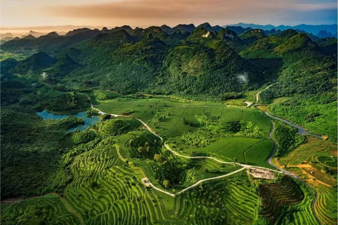 宁强最新招聘信息，启程探索自然美景，求职旅行站