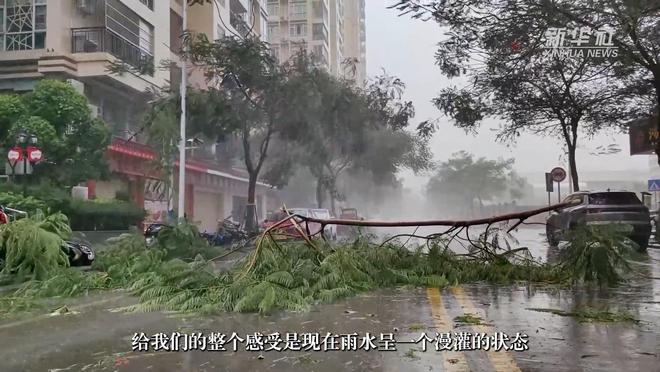 十六台风最新动态揭秘，小巷深处的独特风情探索