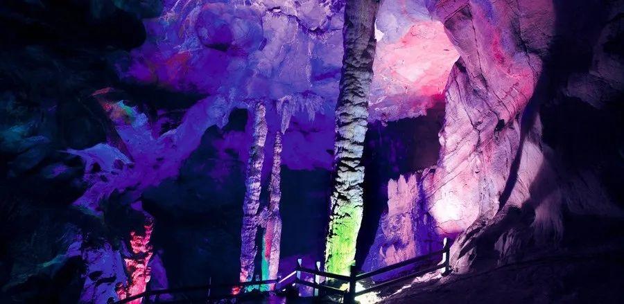 娄底九龙集团最新动态揭秘，小红书分享展现最新进展📢🌟