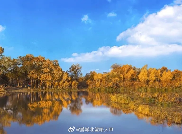 胡杨河市最新动态，探索自然美景，心灵宁静之旅