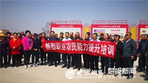 招远人才网最新招聘，启程职业新征程，发现你的潜力舞台