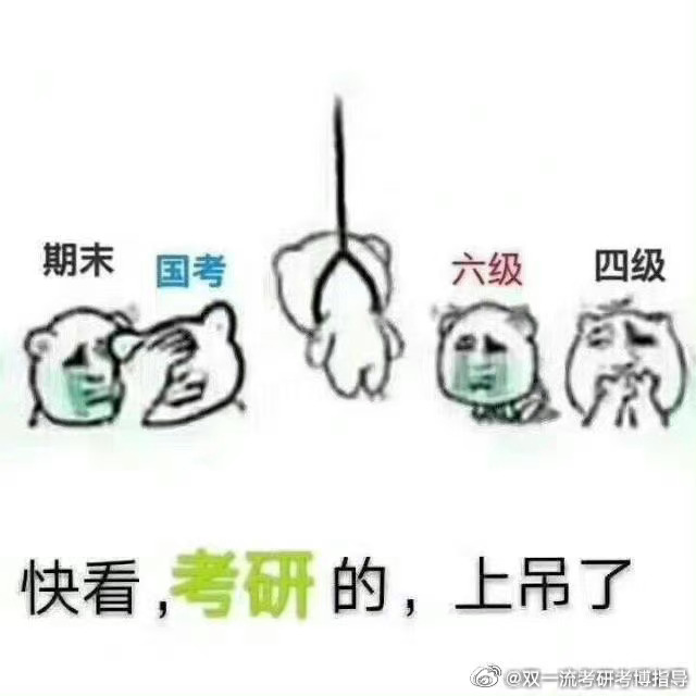 最新大风说段子卡通版，逆风翱翔，笑对挑战，乐享学习之源！