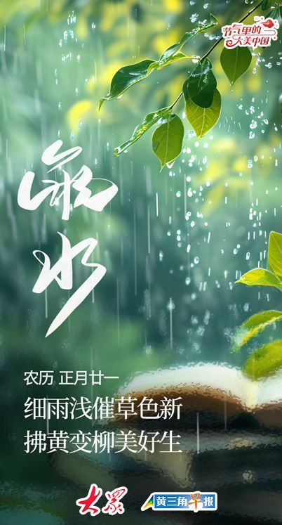 春雨最新版，小雨的奇妙冒险与友情的绽放之旅