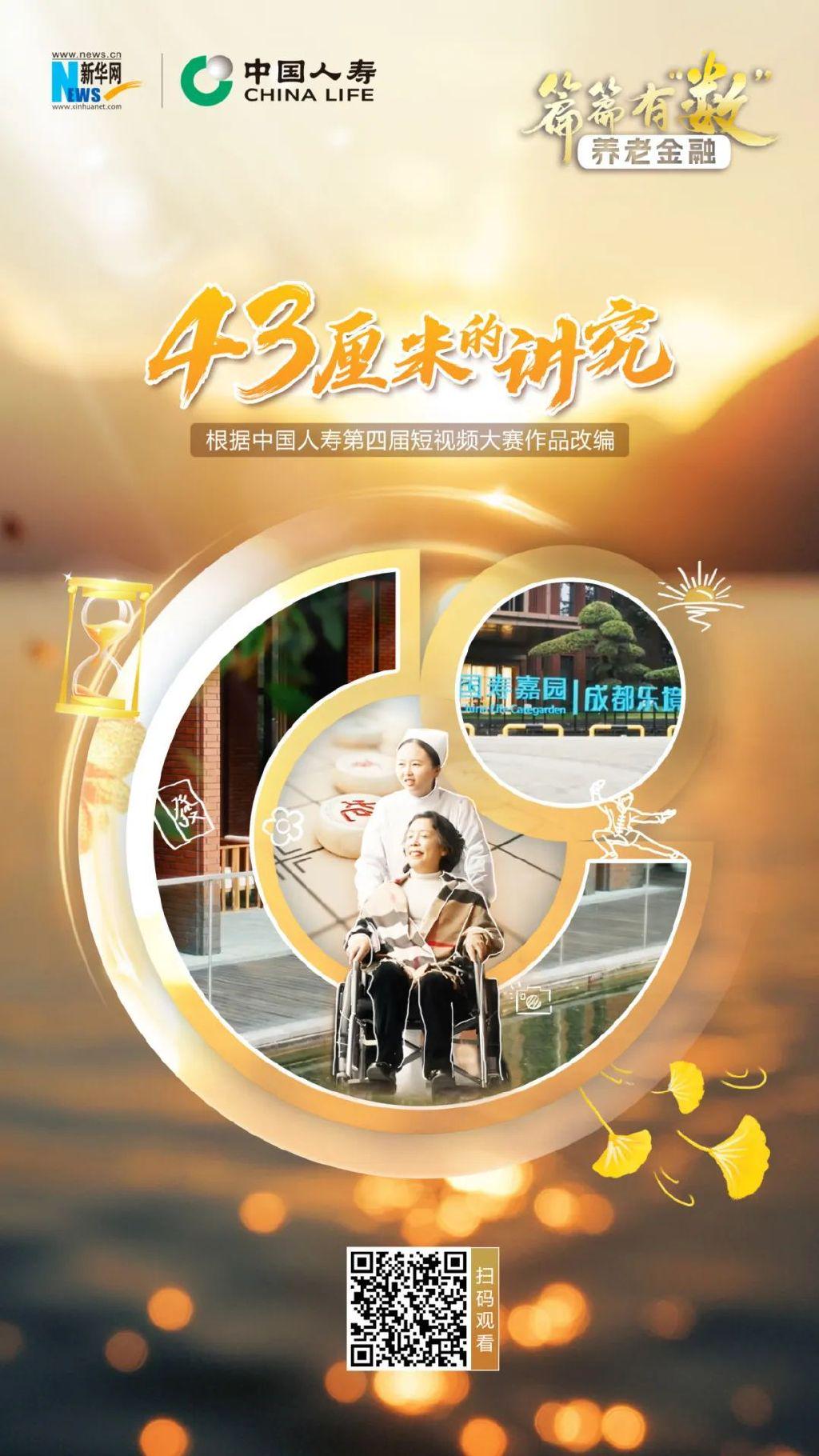 中国人寿最新动态，领航时代，铸就寿险传奇传奇